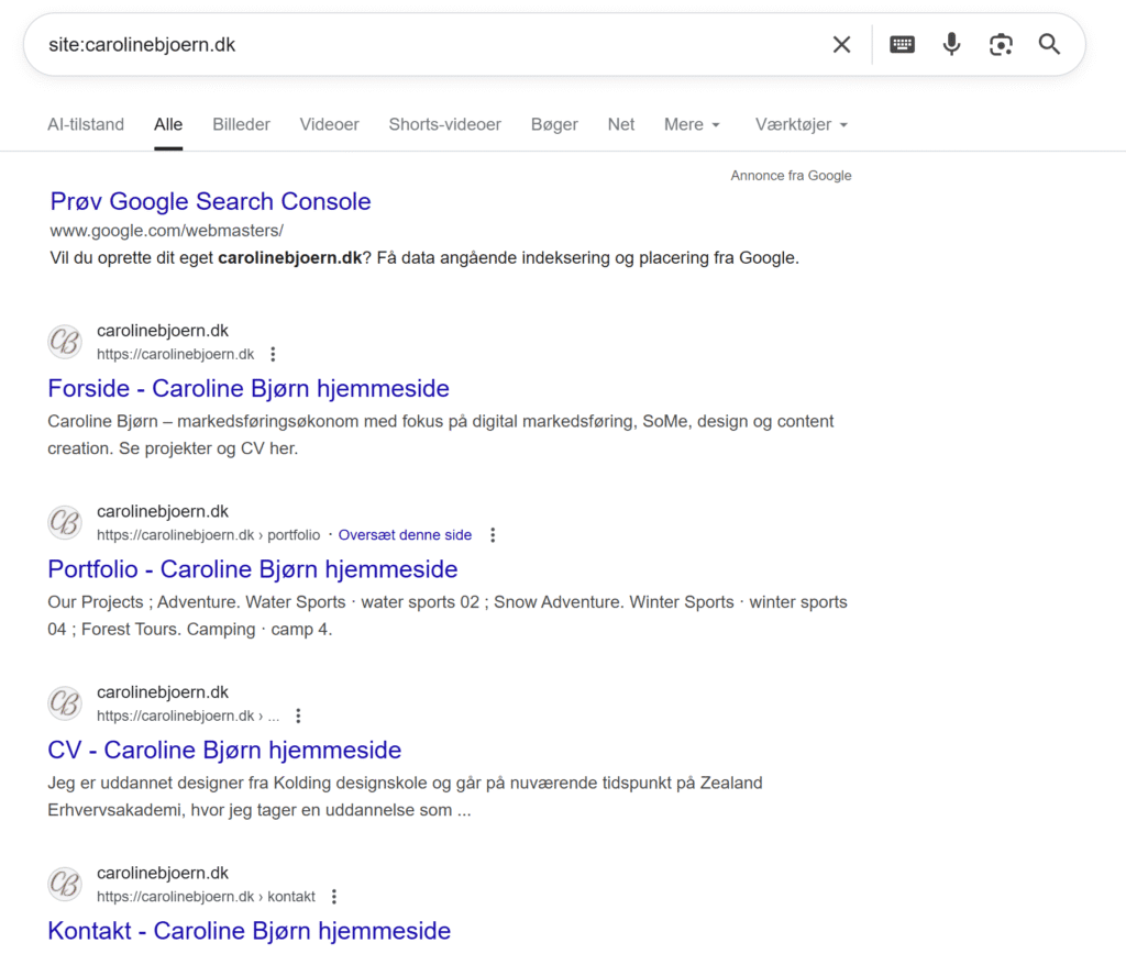 Screenshot af Google-resultater, der viser hvilke sider fra carolinebjoern.dk der er indekseret. En del af den tekniske SEO analyse.