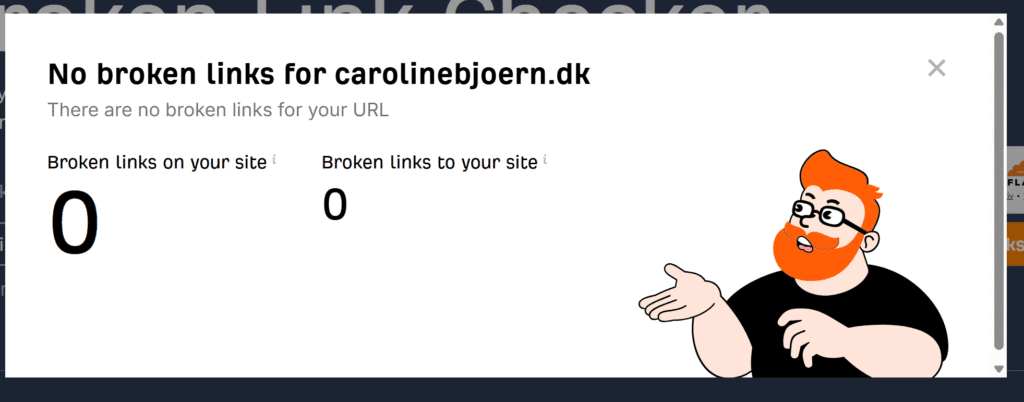 Screenshot af URL-test, der viser ingen fejl eller ødelagte links på hjemmesiden. En del af den tekniske SEO-analyse for at sikre korrekt indeksering.