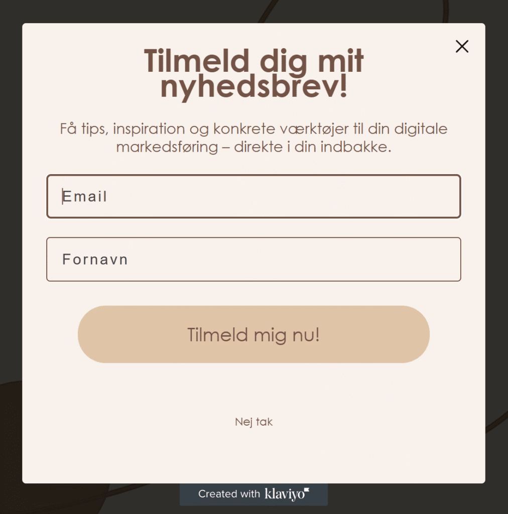 Tilmelding til email nyhedsbrev hos Caroline Bjørn – få tips og inspiration til digital markedsføring og design.